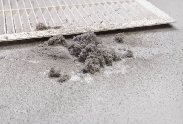 Best Home Air Vent Cleaning  in Champion Heights, OH