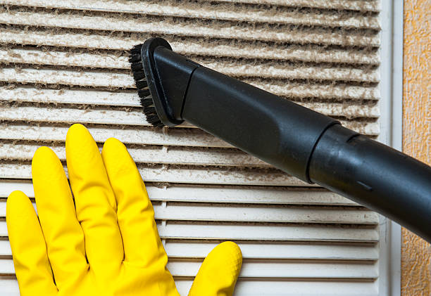 Air Duct Mold Removal in OH